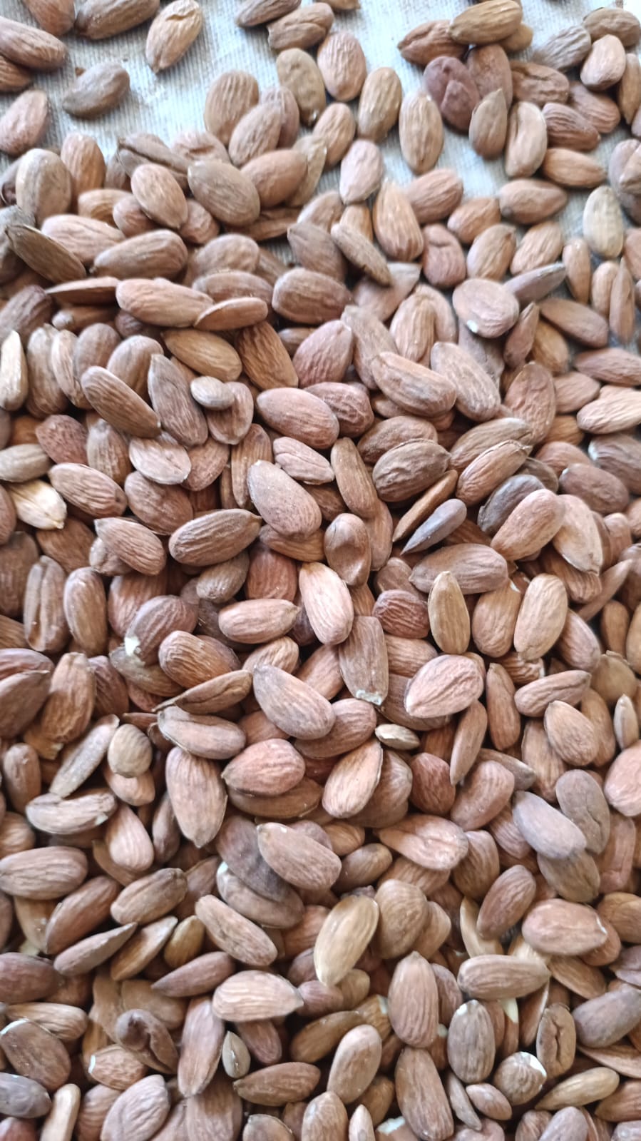 Yunus Bademcilik & Makina